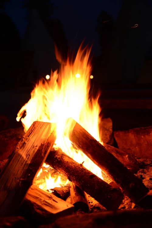 fire logs firewood