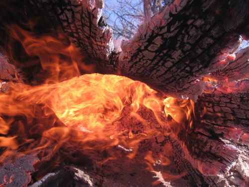 fire wildland fire log