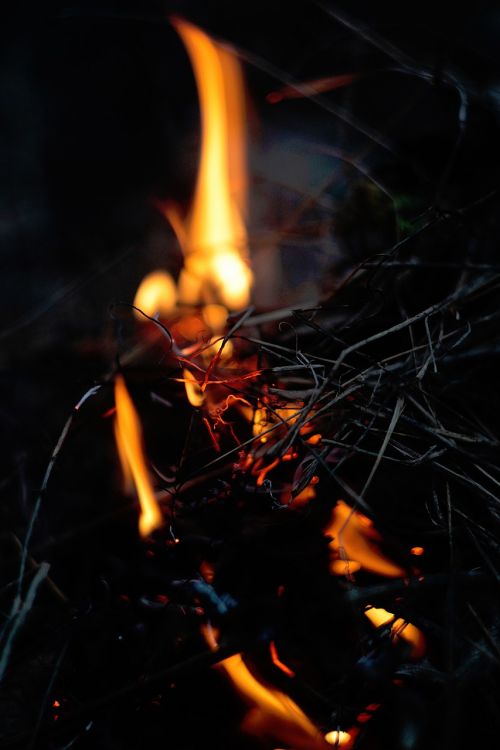 fire twigs bonfire