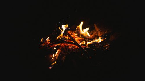 fire camp woods