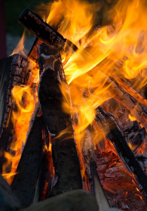 fire campfire wood