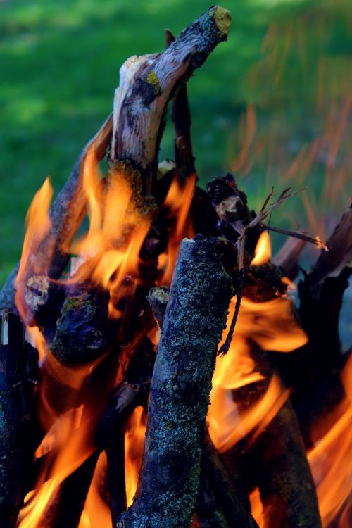 fire flama wood
