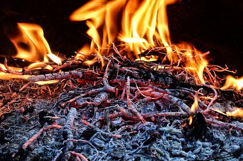 fire  flame  wood