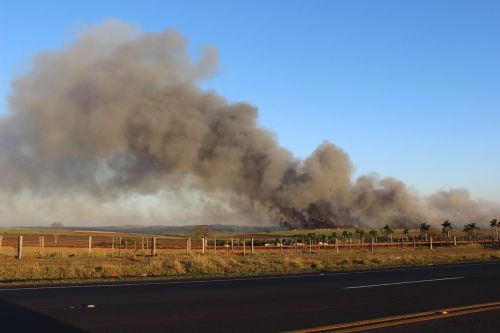 fire landscape burned