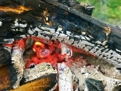 fire  wood  burn