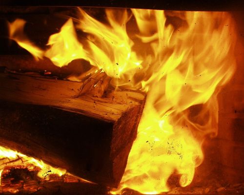 fire pit wood