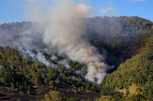 fire smoke bushfire