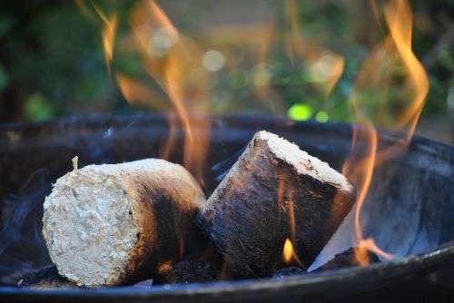 fire wood burn