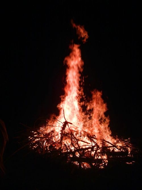 fire campfire night