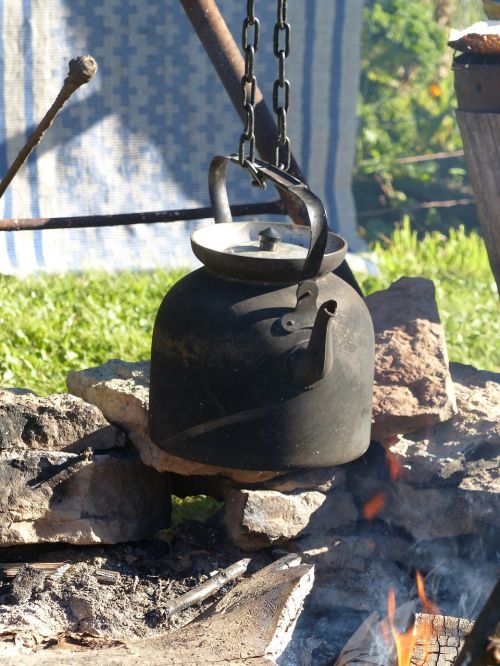 fire cauldron grass