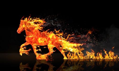 fire horse horse running wastage
