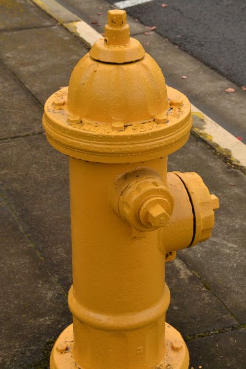 fire hydrant yellow safety
