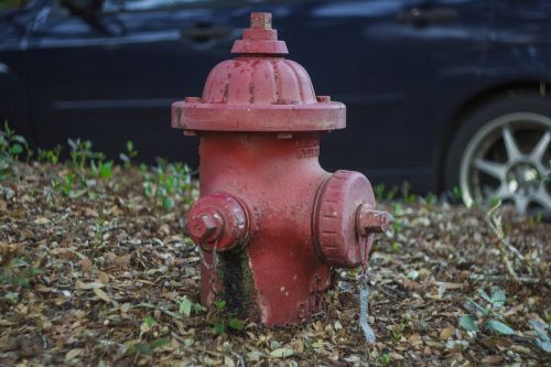 fire hydrant hydrant red