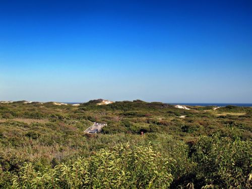 fire island new york sea