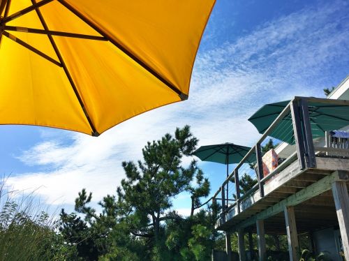 fire island pines sunbathing