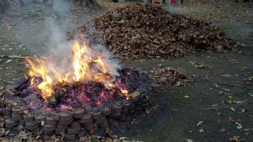 fire pit burning leaves backyard fire pit