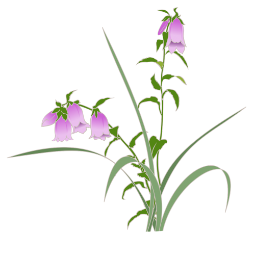 firefly projects wild grass purple flowers