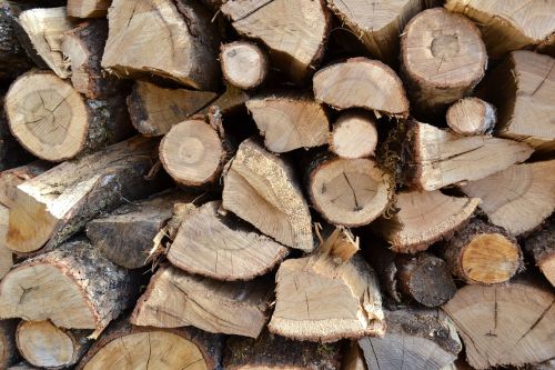 firewood logs wood pile