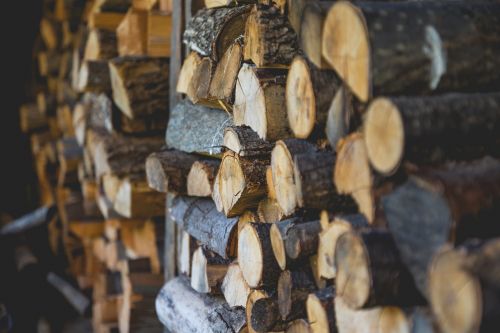 firewood logs outdoors