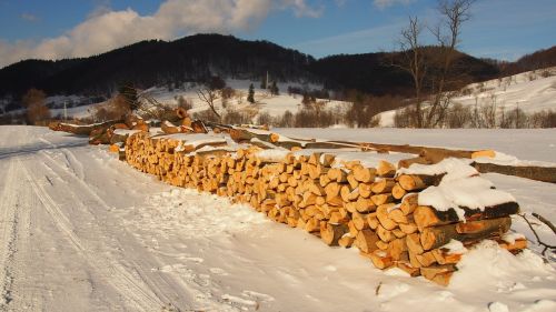 firewood winter snow