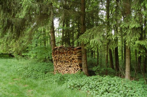 firewood holzstapel stack