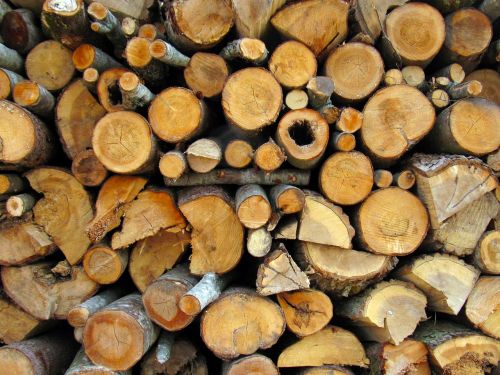 firewood pile wood
