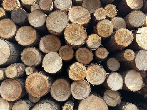 firewood woodpile pile