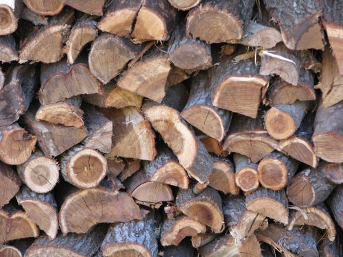 firewood wood timber