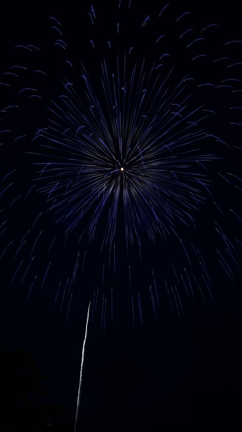 fireworks summer in japan night