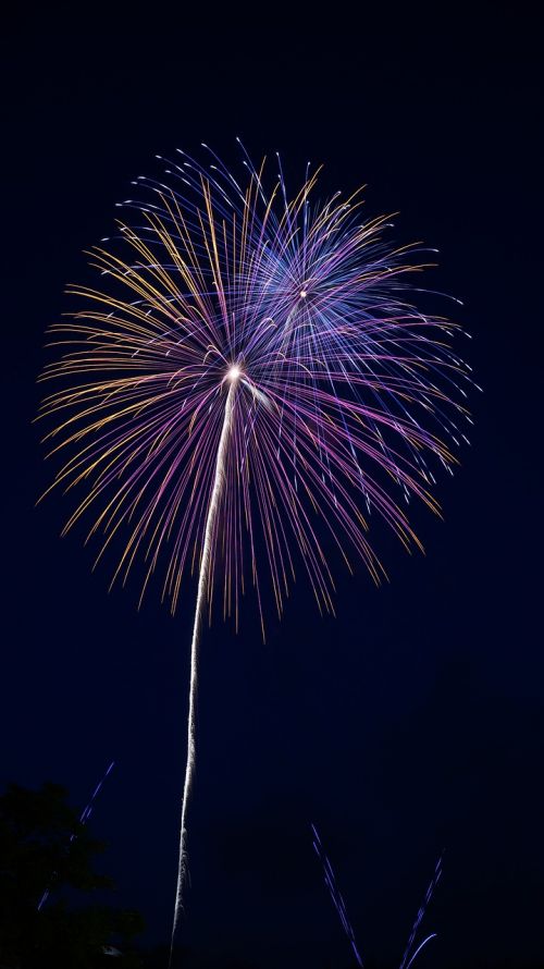 fireworks summer in japan night