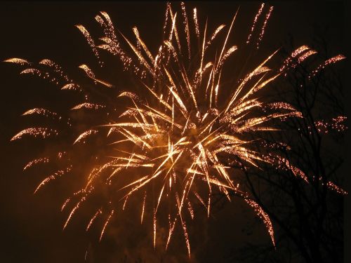 fireworks new year