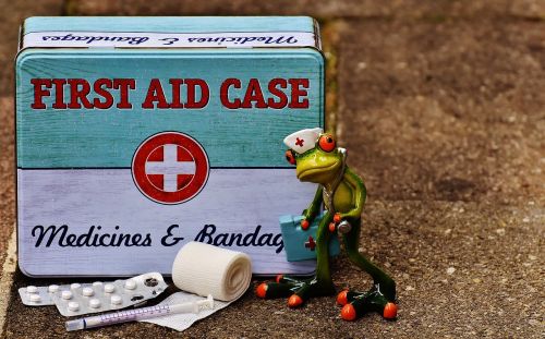 first aid frog medic