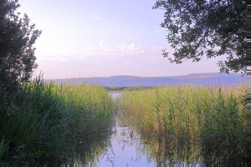 first-person looking out view