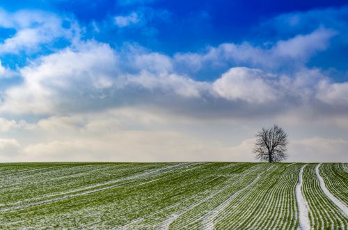 First Snow