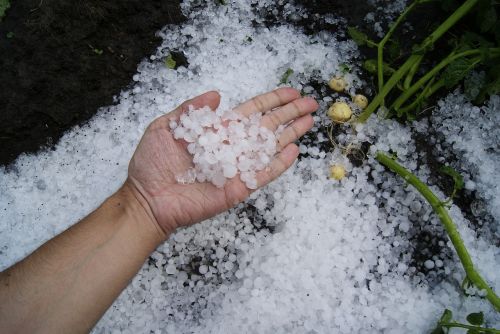 first snow hail letotakoeleto