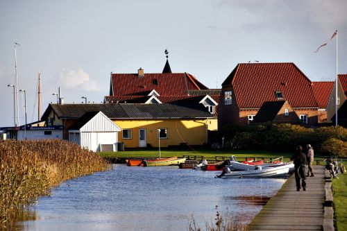 fischer fish denmark