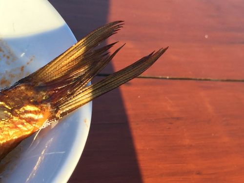 fish fish restaurant plate