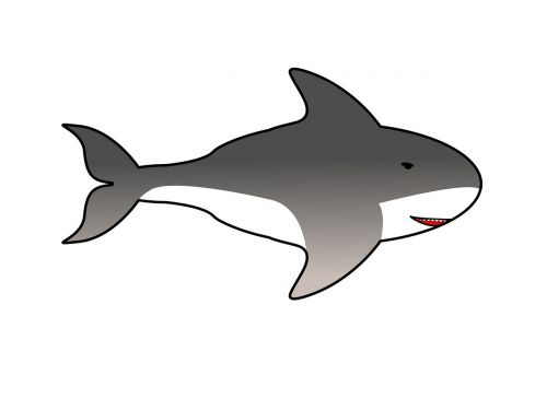 fish shark predator