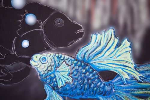 fish graphic sketch