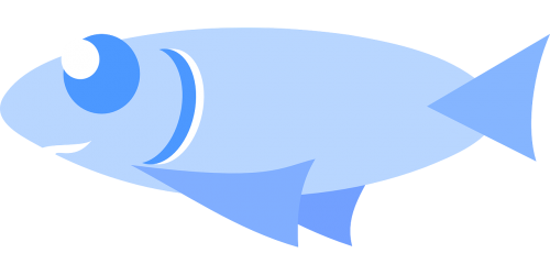 fish aquatic marine