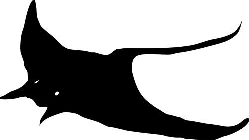 fish silhouette stingray