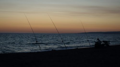 fish sea evening