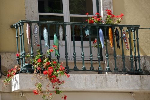 fish balcony window