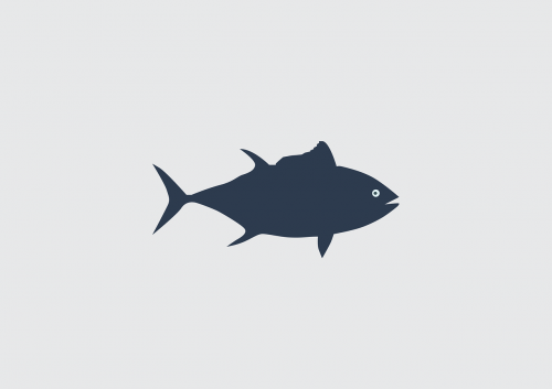 fish tuna sea