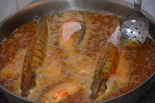 fish baking freshwater fish