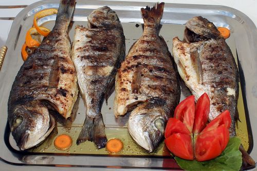 fish grilled fish dinner