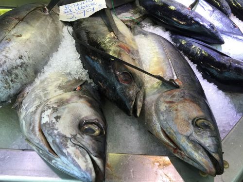 fish seafood healthy