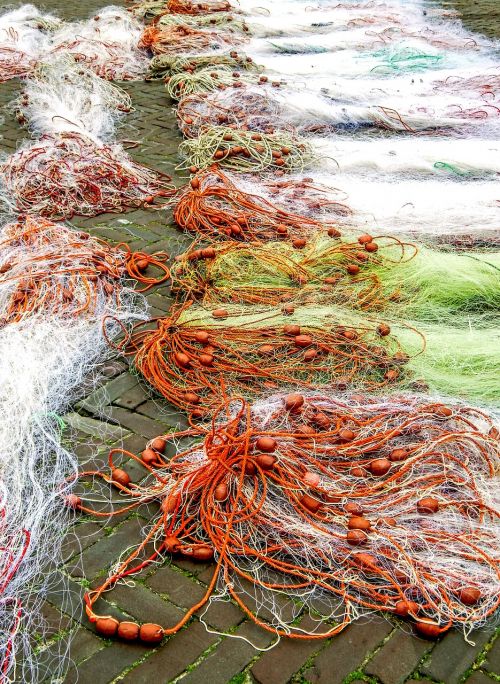 fish fishing nets urk