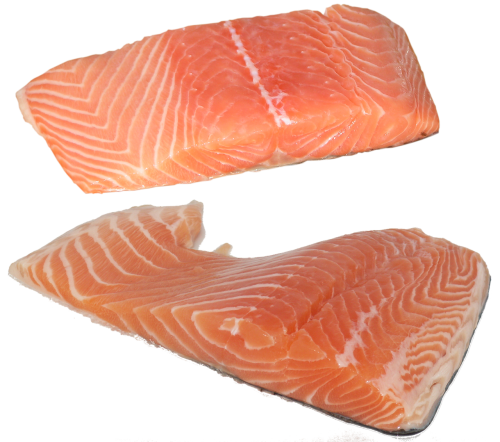 fish salmon fillet