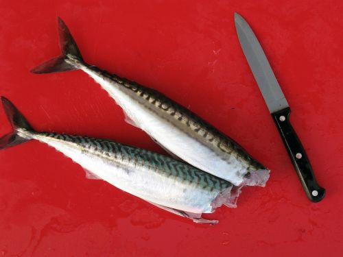 fish fiskrensning cutting board
